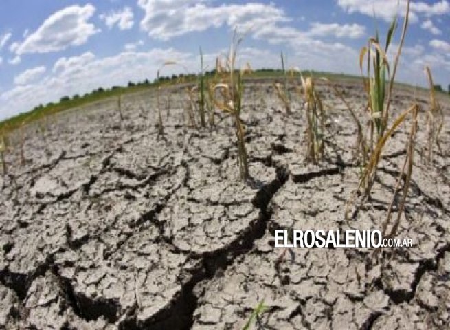 Piden declaración de emergencia agropecuaria para el SOB Piden declaración de emergencia agropecuaria para el SOB