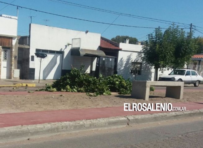 Cuando la limpieza no es respetada Cuando la limpieza no es respetada