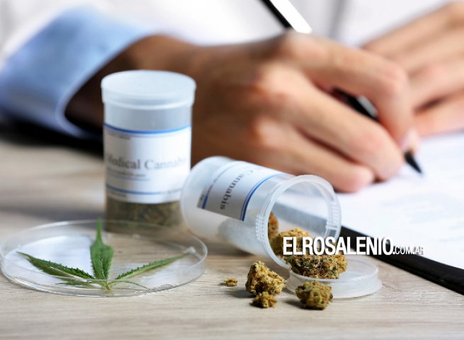 Habrá un disertación sobre canabis medicinal y sus aplicaciones Habrá un disertación sobre canabis medicinal y sus aplicaciones