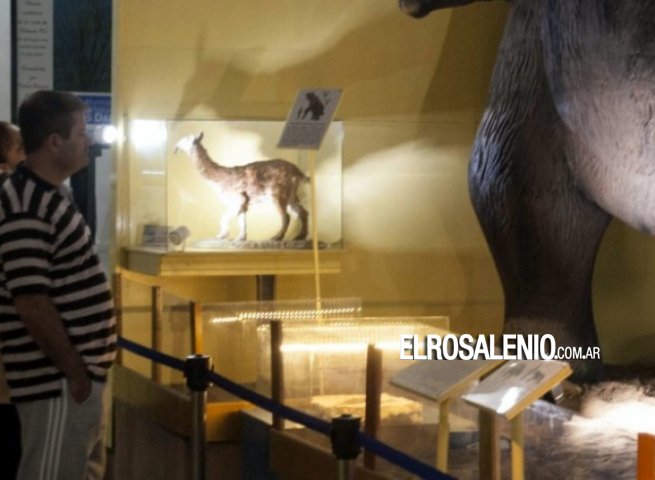 Talleres para niños en el Museo de Ciencias Naturales Talleres para niños en el Museo de Ciencias Naturales