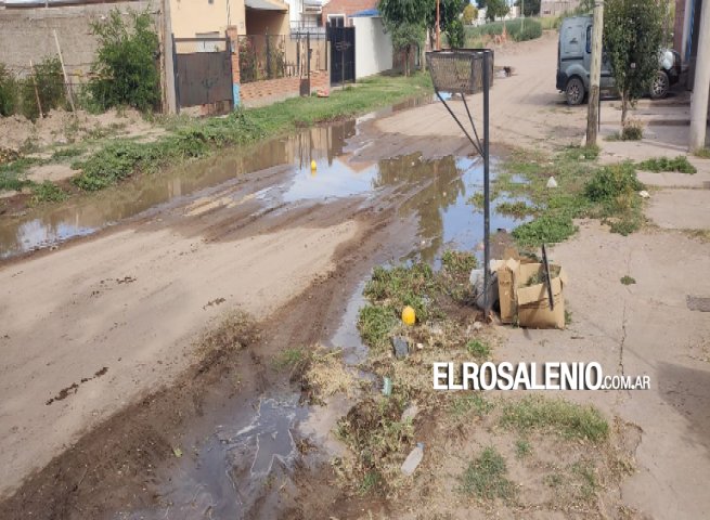 Vecinos solicitan una rápida atención ante importante pérdida de agua