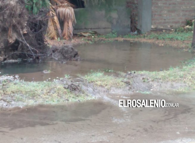 Villa Arias: vecinos aguardan abstecimiento de agua tras árboles caídos que dañaron un caño maestro