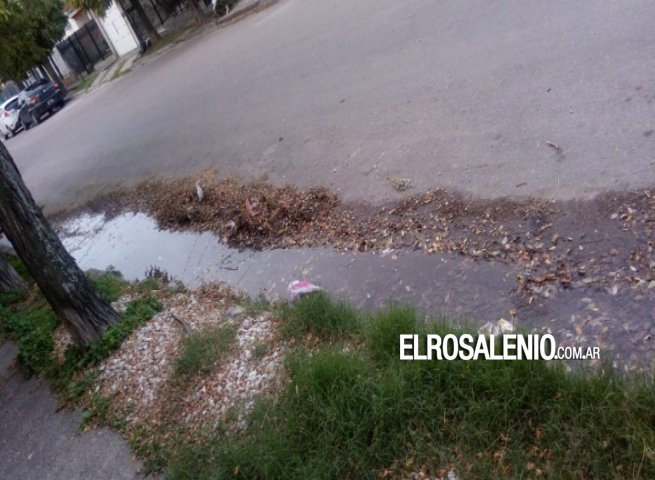 Pérdida de agua perjudica a vecinos del Barrio Centenario