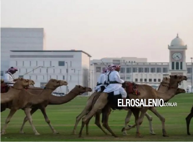 “Virus del camello“: la enfermedad de la que deberán cuidarse quienes viajen al Mundial de Qatar 2022