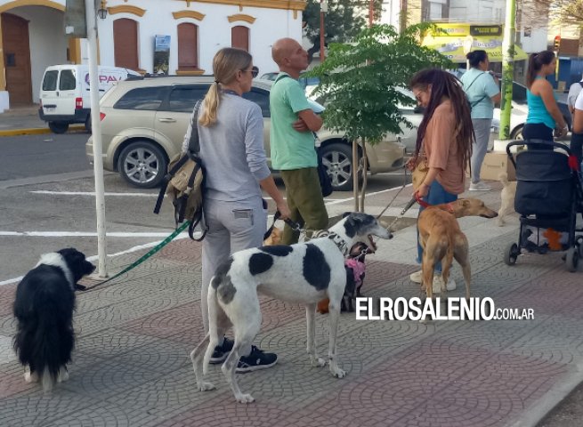 La actividad por el Día del Animal tuvo lugar en la plaza Belgrano