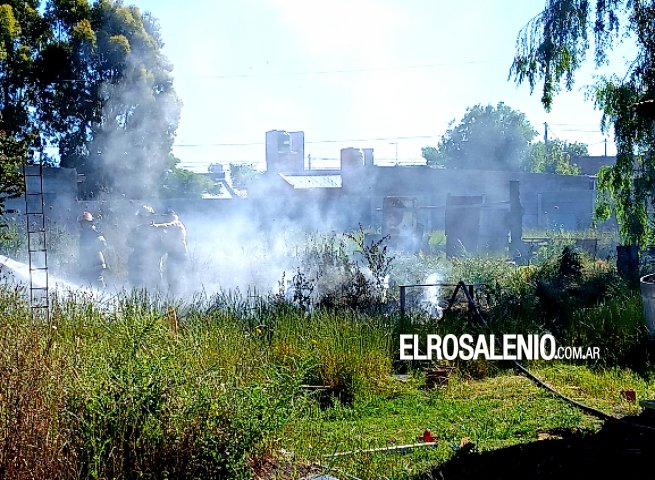 Quiso ahuyentar abejas y terminó provocando un incendio