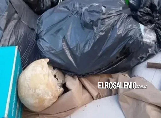  Mar del Plata: hallan un cráneo humano en un volquete