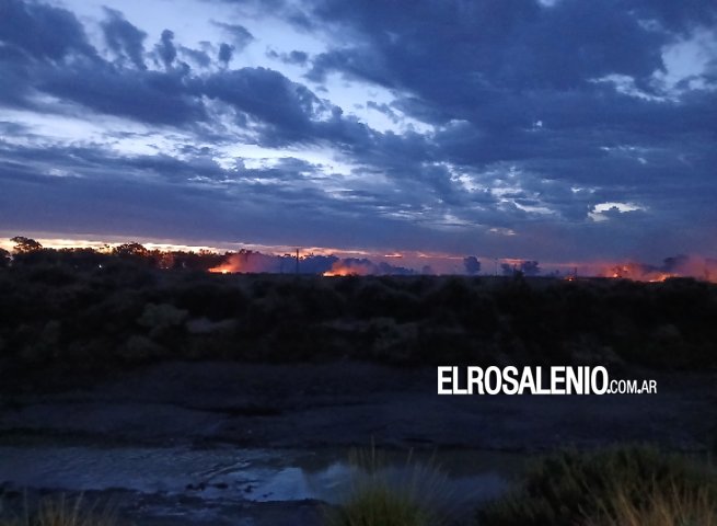 Bomberos de Base Naval y Punta Alta trabajaron en incendio forestal