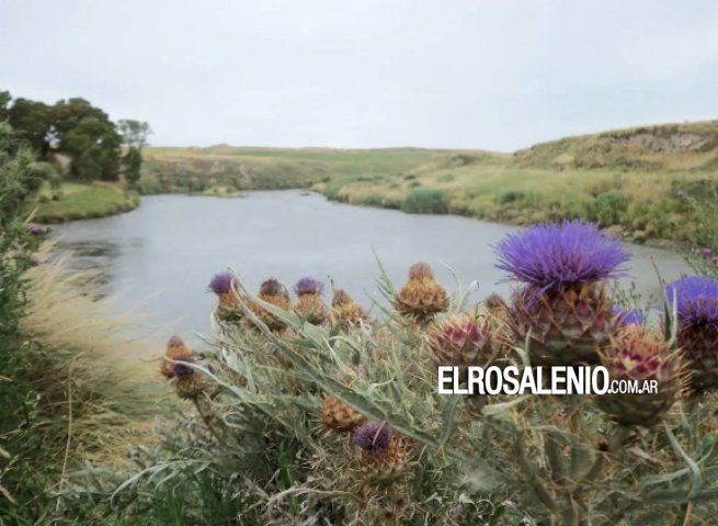 Marisol se prepara para su 4º Fiesta “Entre el Río y el Mar“ con música, gastronomía y artesanías