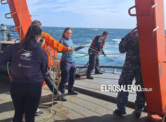 Científicos viajan a bordo del Rompehielos Irízar para realizar estudios de ballenas