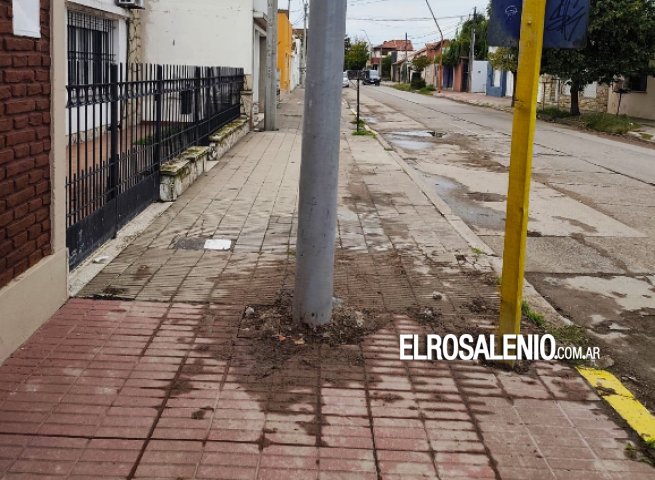 Postes colocados en medio de la vereda generan enorme polémica con vecinos, el Municipio y el HCD