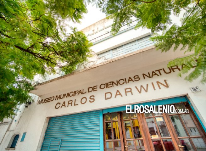 Instalan en el Museo Darwin una nueva réplica de megafauna: un Teratornitido de 4 metros