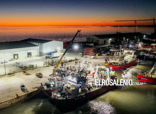 Llegó el primer cargamento de langostinos al frigorífico de Conarpesa en Puerto Rosales