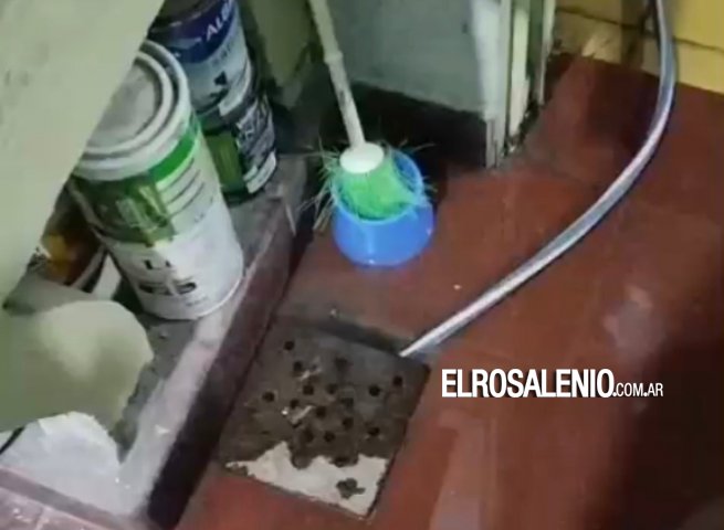 Reclamo por desbordes cloacales en pleno centro y distintos barrios