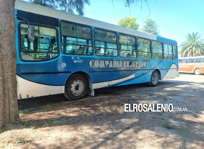 Líneas locales modificarán sus frecuencias durante las dos semanas de receso invernal