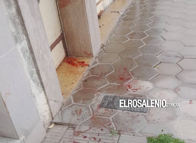 Vecinos y protectora reiteran reclamos por acumulación de animales e insalubridad