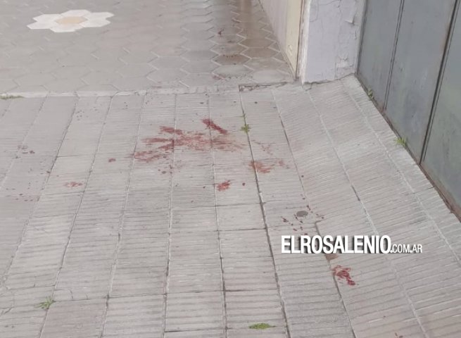 Vecinos y protectora reiteran reclamos por acumulación de animales e insalubridad