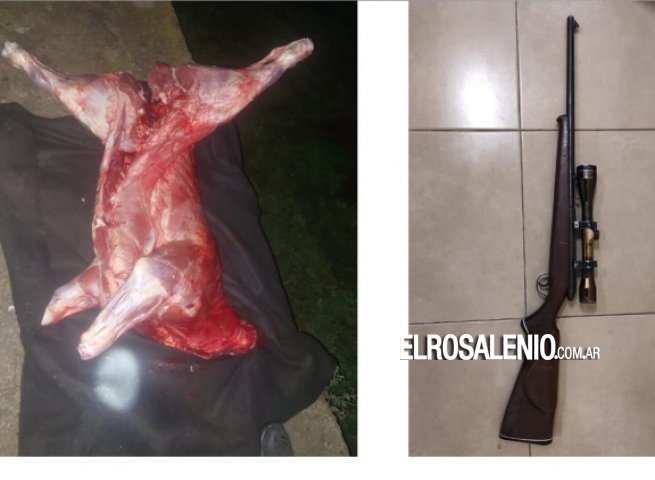 Robaron un novillo de 200kg y lo llevaban en el baúl de un auto