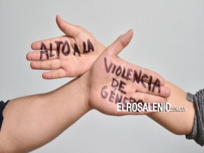 “Trabajamos para dar respuesta a la problemática de violencia de género“ dijo Alfaro