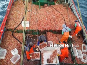 Pescadores artesanales regionales preocupados por el desembarco en Rosales de Conarpesa 