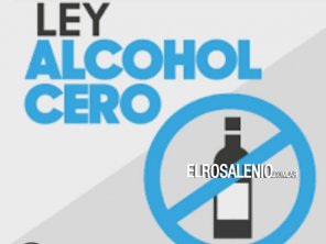 El Senado bonaerense aprobó la Ley de Alcohol Cero en la provincia