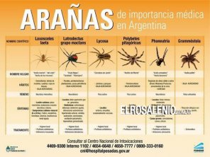 Consejos en caso de aparición de serpientes, arañas o escorpiones