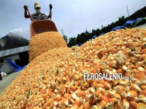 El gobierno destinará $15.000 millones para subsidiar a productores de soja y maíz 