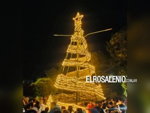 El árbol navideño ya ilumina el centro de la ciudad