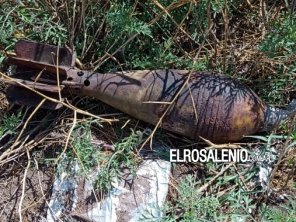 Desactivaron proyectil explosivo en Villa Arias