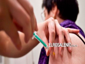 PAMI Coronel Rosales estará aplicando vacunas antigripales en Pehuen Co