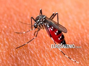 Dengue en la Prov. de BS.AS: Expertos solicitan medidas de prevención
