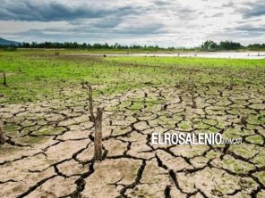 Sequía: Coronel Dorrego y Coronel Pringles fueron declarados en Emergencia Agropecuaria