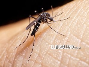 El 80% de las obras sociales no cubre la vacuna contra el dengue