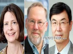 Hallazgo clave sobre el sistema inmune: el Nobel de Medicina 