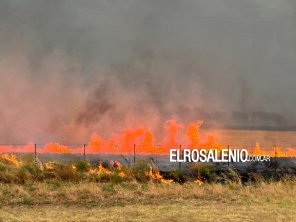 Incendio de pastizales obligó a cortar la ruta hacia Pehuen Co por falta de visibilidad