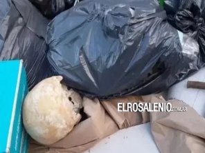  Mar del Plata: hallan un cráneo humano en un volquete
