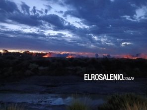 Bomberos de Base Naval y Punta Alta trabajaron en incendio forestal