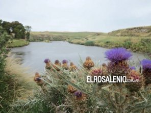 Marisol se prepara para su 4º Fiesta “Entre el Río y el Mar“ con música, gastronomía y artesanías