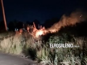 Bomberos combatieron anoche dos incendios forestales