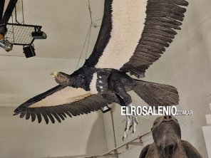 Se presentó una réplica de un Teratornítido en el Museo Darwin