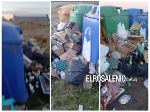 Reclaman al municipio que basural clandestino en Punto Limpio “es un juntadero de lauchas”