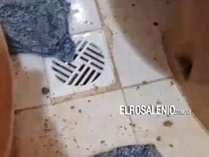 “Ya no se puede vivir así, nos desborda la materia fecal por todos lados”