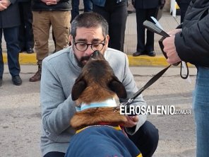 Fueron reconocidos los perros de guerra de la BNPB por su ayuda humanitaria en Venezuela
