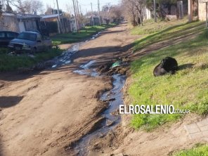 Piden intervención de ABSA y el Municipio por derrame cloacal en 14 cuadras en Nueva Bahía