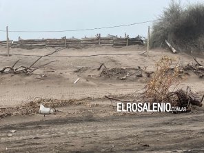 Vecinos de Pehuen Co reclaman que otros vecinos bloquearon una bajada a la playa con palos