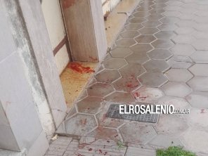 Vecinos y protectora reiteran reclamos por acumulación de animales e insalubridad