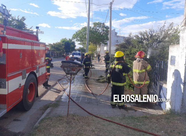 Movilizaron una dotación de bomberos por fuego en un árbol 