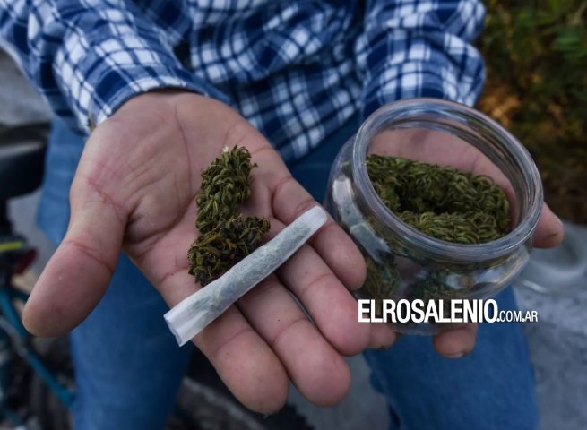 El Ministro Berni a favor de despenalizar la marihuana