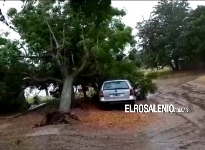 Servidores públicos trabajan en varios barrios de la ciudad