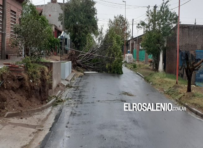 El municipio emitió un informe de la situación actual tras la tormenta